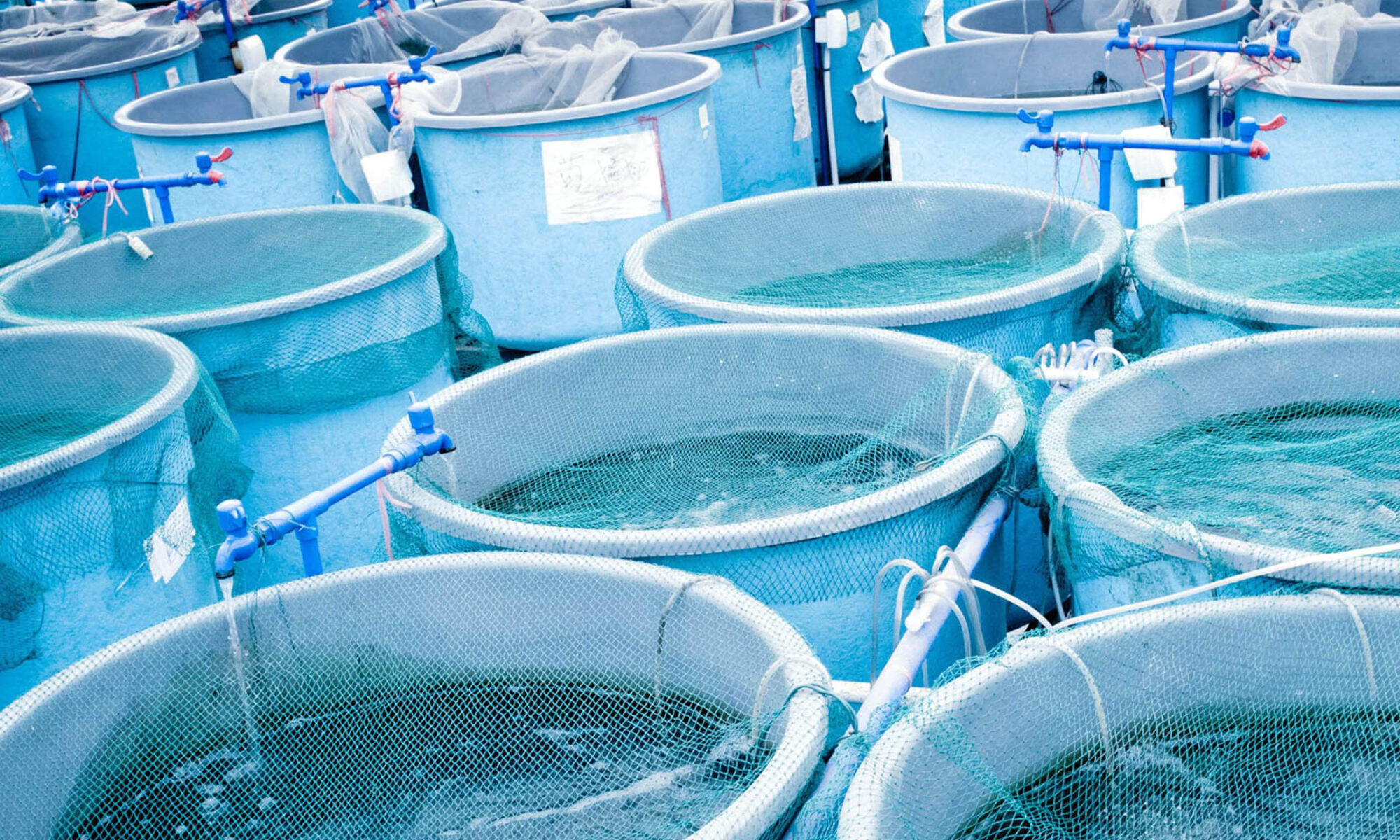 Tanks at an aquaculture facility