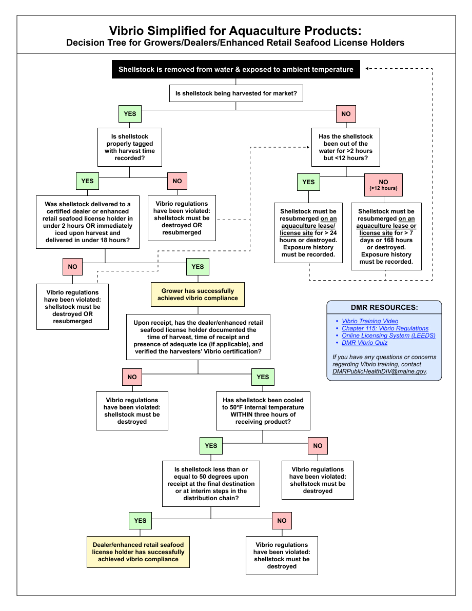 vibrio-simplified-decision-tree-1