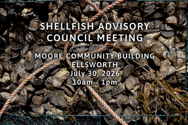 Oysters in a net with a rope, overlaid with text about a Shellfish Advisory Council Meeting at Moore Community Building in Ellsworth on July 30, 2026, from 10am to 1pm.