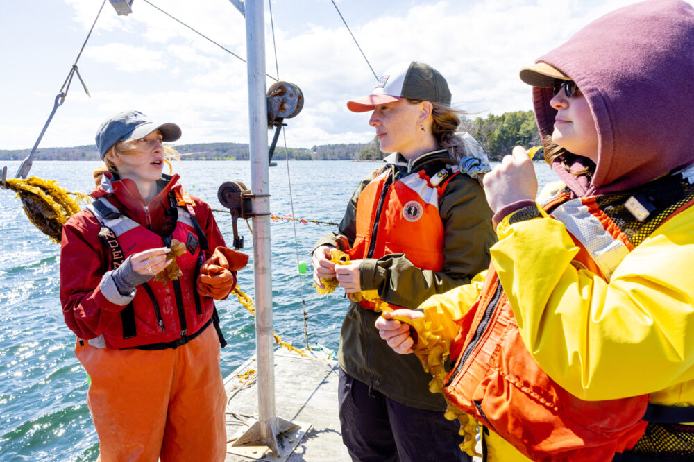 Three people in life jackets and waterproof gear stand on a boat, talking and holding seaweed, with water and trees visible in the background.