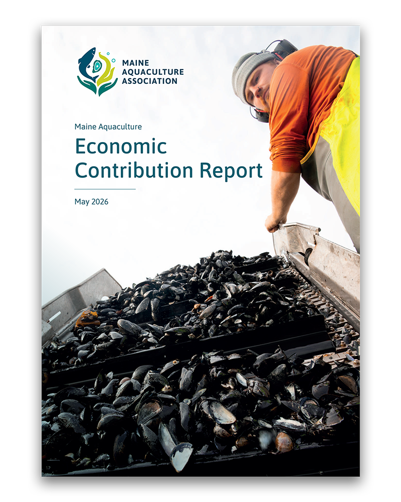 Cover of the Maine Aquaculture Association Economic Contribution Report, May 2026, showing a worker handling a large pile of harvested mussels.