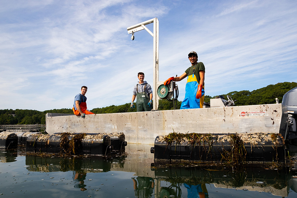 Three people in work clothes stand on a small boat docked on calm water, surrounded by floating oyster cages and seaweed, with trees in the background.