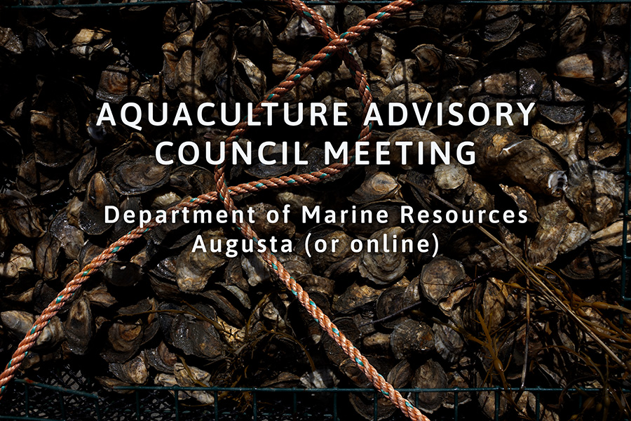 DMR Aquaculture Advisory web A pile of oysters in a wire basket with rope, overlaid text announces Aquaculture Advisory Council Meeting in Augusta or online, by Department of Marine Resources.
